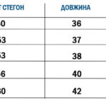Пляжні шорти 2в1 змінюючі колір Сhameleon